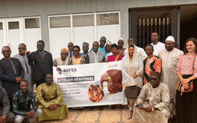 Compte-rendu de l’atelier de l’AAFEA Conakry 19-23 juin 2023