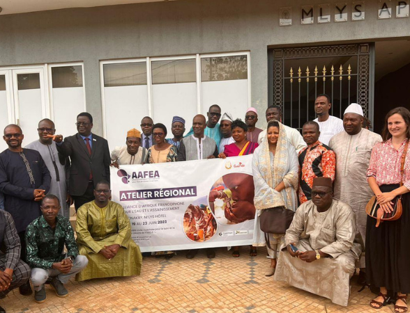 Compte-rendu de l’atelier de l’AAFEA Conakry